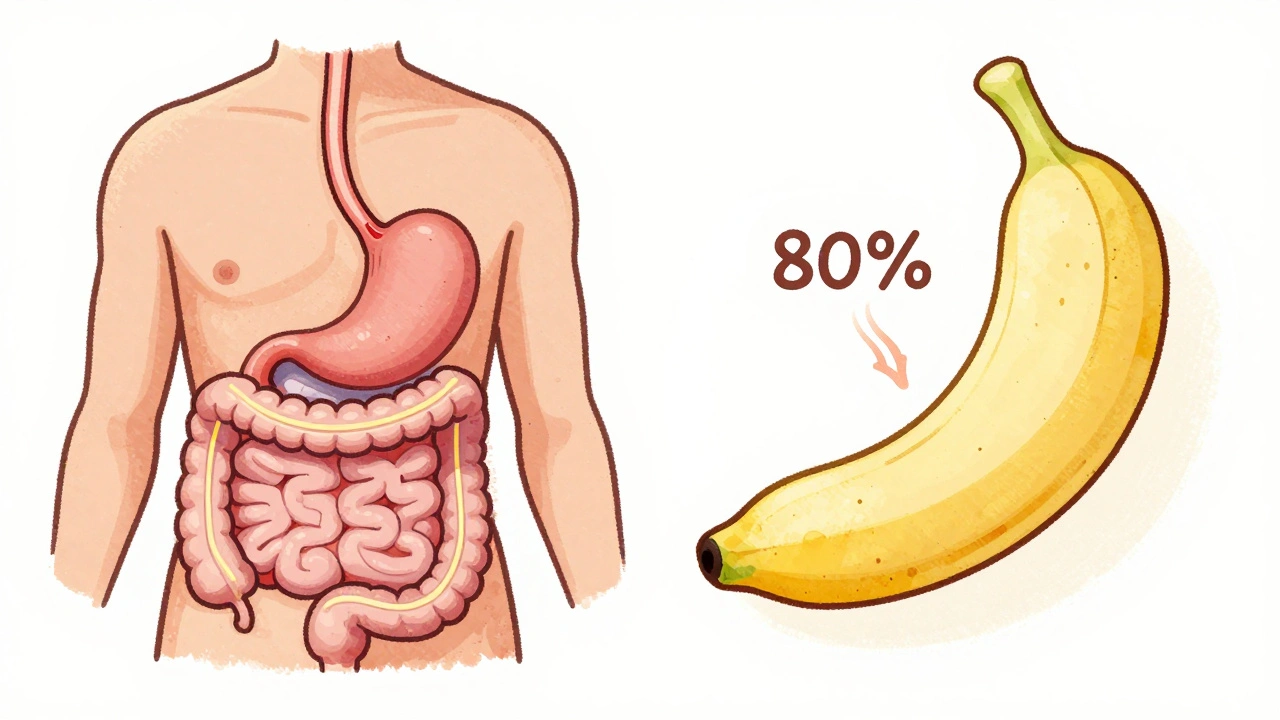 Bariatric Surgery: Gastric Bypass vs. Sleeve Gastrectomy - What Really Works