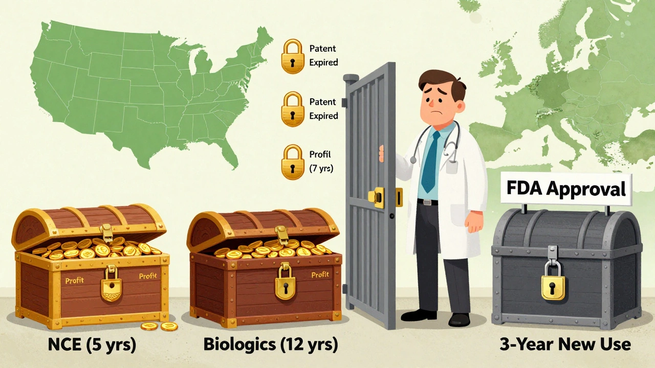 Four treasure chests of drug exclusivity types overflow with gold coins, while a generic developer stands locked out by an FDA gate.