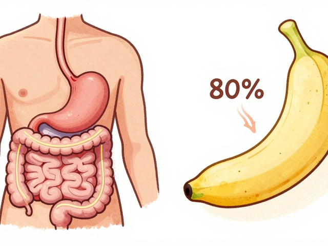Bariatric Surgery: Gastric Bypass vs. Sleeve Gastrectomy - What Really Works